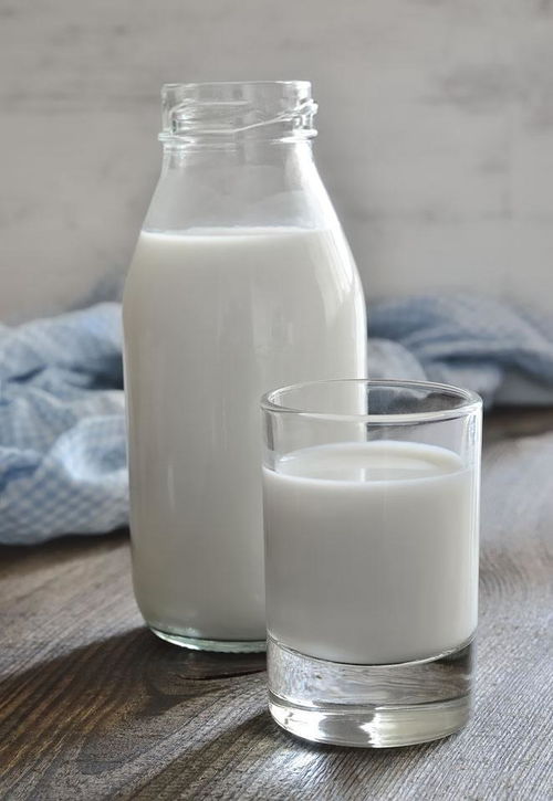 枸杞与乳制品 为何同吃影响健康且口感不佳？