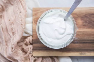 一次揭秘发酵乳制品技术创新的全策略