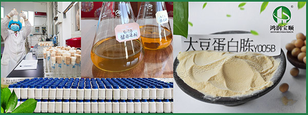 培养基原料选对了吗？——乳制品行业的精准配比之道